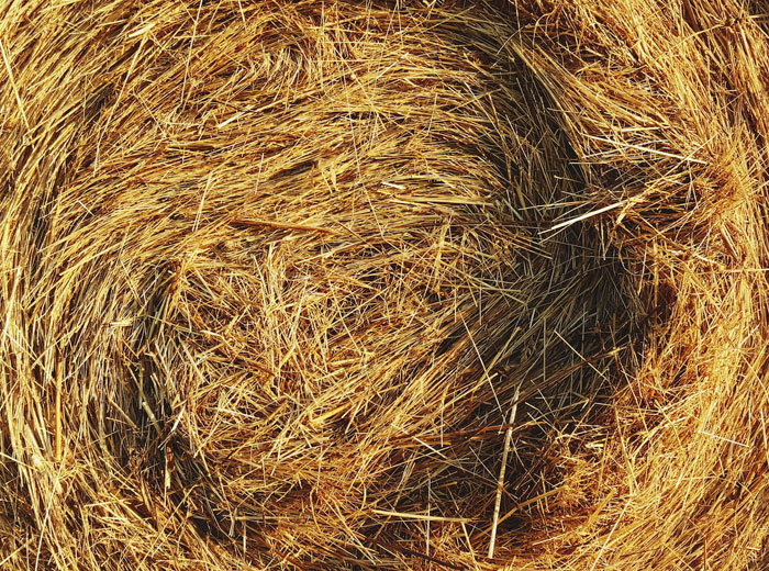 haystack best london web design
